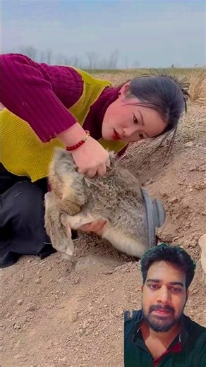 देखिए कितने अच्छे से जान बचाई है #viral #shorts #trending #trendingshorts #funny #viralvideo