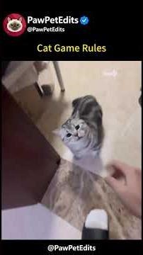 When I learn the cat's game rules.