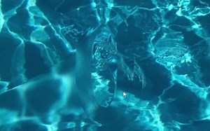 Notch交互水波纹教程