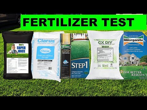 What is the best spring fertilizer on a cool season lawn?