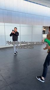 In person meetups with families are the best! We usually rely on nannies to fly our puppies, but when we get to meet in person, it's extra special! This delivery day was the highlight of my week!!! #puppylove #goldendoodle #puppy | Frosted Golden Doodles