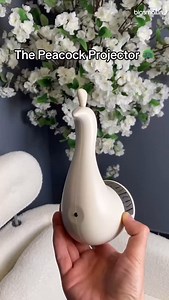 46 reactions | Luma Peacock LED Wall Lamp – ₹1,799 Turn your wall into a work of art 連 This stunning peacock lamp lights up your space with vibrant, feather-like LED projections — all remote-controlled! ✅ Multi-color LED glow ✅ Remote for brightness & color control ✅ Easy wall-mount design  Prepaid Orders: Get 10% OFF with code PREPAID10 + Faster Shipping (COD available too) | bigsmall.in | Facebook