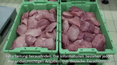 Lidl will mit QR-Codes über Fleischherkunft aufklären