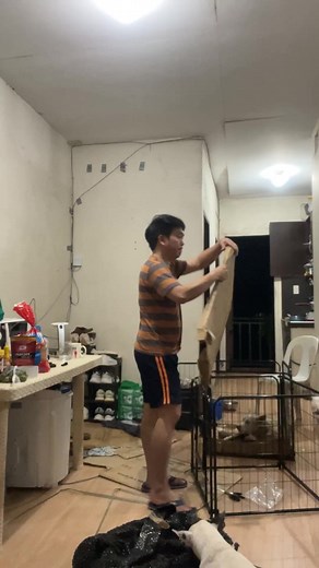 31K views · 2K reactions | Assembling cage - Gift  | Robert Solis | Facebook