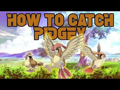 HOW TO GET PIDGEY/PIDGEOTTO/PIDGEOT - Roblox Pokemon Brick Bronze: PokeDex