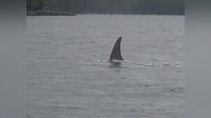 DANGEROUS WATERS (Season 3)