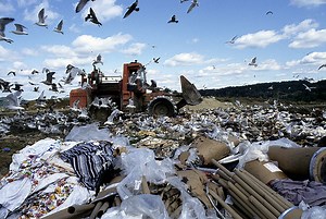 Coming this August: You, made of garbage