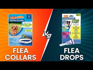 Flea Collars vs Drops: Which Works to Kill Fleas?