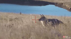 Are you ready to elevate your game? Take your #hunting to the next level with the #XSight4K #BuckHunter! ✔Video Recording up to 120 FPS ✔Profile Manager ✔Ballistic Calculator ✔Dual WiFi Streaming ✔18 Hours Battery Life ✔30mm Standard Rings ✔One-Shot Zero #BeThePredator & #OwnTheDay With #ATNOptics https://www.futureofoptics.com/ | ATN