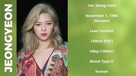 【TWICE】成员资料介绍 (出生日期，身高体重，队内担当等等)