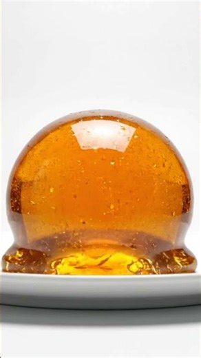 Honey vs Ceramic Plate #experiments #shorts