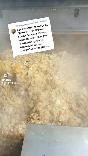 Industrial Mixing Process of Food Ingredients