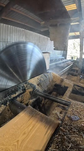 55K views · 564 reactions | Cutting a big 26-foot Southern Pine log on my sawmill using a 66-inch solid-tooth circular saw powered by a 300-horsepower electric motor. Watch this beast chew through timber like butter — nothing beats the sound of old-school power and precision sawmill | Whipp&Waffle | Facebook