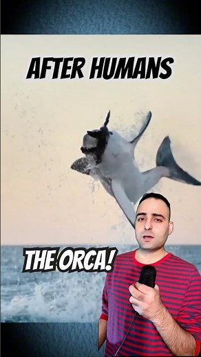 The Ocean’s Smartest Predator - Orca!