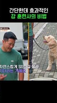 The Importance of Body Language #TimeBetweenDogAndWolf2 #shorts