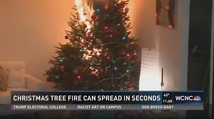 Video shows dangers of Christmas tree mistakes