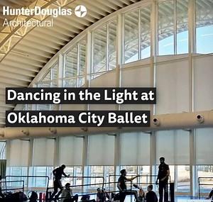 17K views · 24 reactions | Beautiful natural light takes center stage...