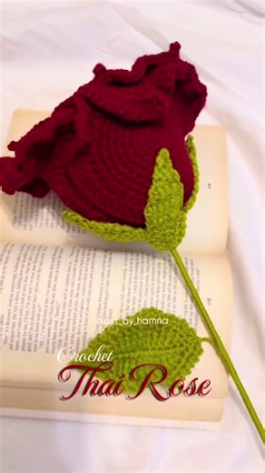 Crochet colournest on TikTok