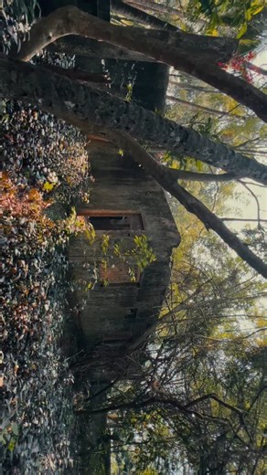 Rahoof razz on Instagram: "Wait FoR tHe EnD🔥… . . . . . #love #instagood #photooftheday #fashion #trending #explore #explorepage #travel #beautiful #friends"