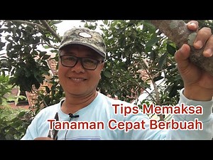 Tips for Forcing Plants to Bear Fruit Quickly
