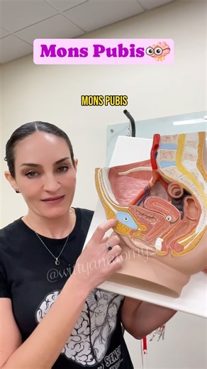 Dr. Ana Paula Benaduce • Making you LOVE ANATOMY! | ✅ Mons Pubis! 🧠FOLLOW @wittyanatomy_ and keep your anatomy sharp!💫📚 #drbenaduce #wittyanatomy #humananatomy #humanbody #anatomy... | Instagram