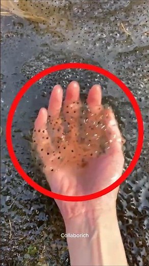 NEVER Touch This in the Wild! 😱