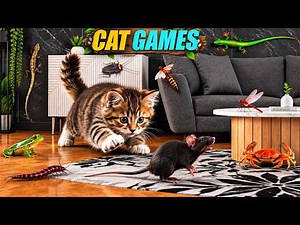 Cat TV – 3D Mouse & Lizard Chase Games for Cats to Watch | 8 Hours 4K 60FPS