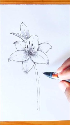 How to draw a flower
