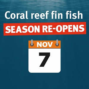 3.5K views · 36 reactions | The final coral reef fin fish closures for 2021 has now ended. Happy fishing!  You can find next year’s closure dates here ⬇ https://www.daf.qld.gov.au/business-priorities/fisheries/recreational/recreational-fishing-rules/closed-seasons-waters/tidal-waters | Fisheries Queensland | Facebook