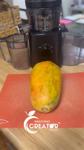 Here are two of the most powerful Digestive Benefits of Papaya:: - Contains Papain: An enzyme that helps break down proteins, aiding digestion and reducing bloating, gas, and constipation💩 -High in Fiber: Promotes regular bowel movements and overall gut health💩 With food is your medicine, Prevention is better than Treatment ⚕️ #consciouscreatorjuices™️ #ccjuices #guthealth #gutease | Ccjuices