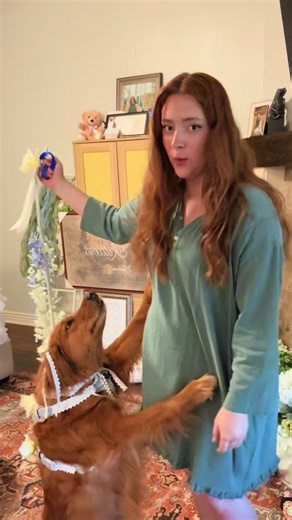 Marmys wedding outfit 🥹🤍🐶 #2026bride #dogsoftiktok #weddinginspo #dogoutfit
