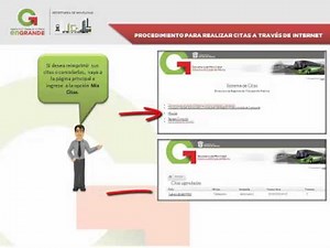 Citas Para Baja De Placas En El Estado De Mexico
