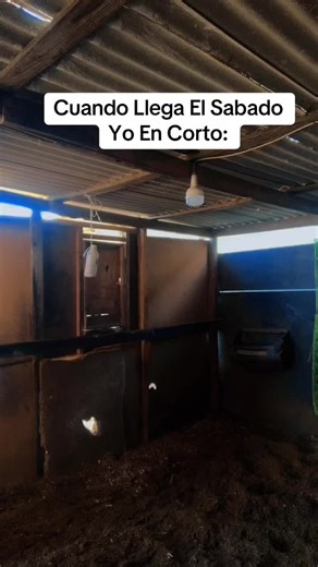 Tutorial de Bailes en el Rancho: Cuando Llega El Sábado