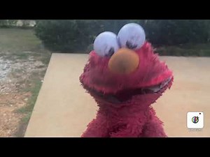 elmo world ducks computer