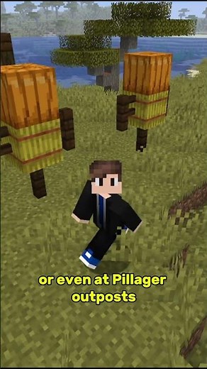 Finding Pumpkins in #minecraft #minecraftsurvival