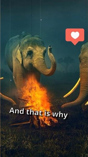 Do elephants have SOULS? 🐘🥀#shorts #elephantfacts