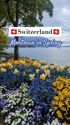 Montreux, Switzerland 🇨🇭 Waterfront Promenade in Spring #travel #switzerland #lakegeneva