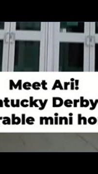 Tiny horse, big role: Miniature 'Ari' shines at Kentucky Derby Museum