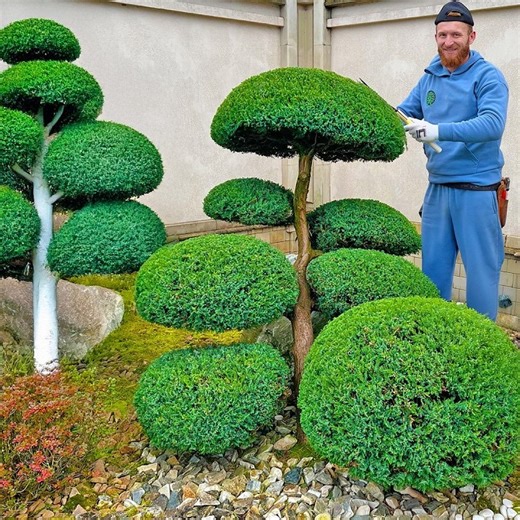 17K views · 239 reactions | Turned a Tree Into Floating Clouds — Unreal Topiary Art! | Harry E. Custis | Facebook