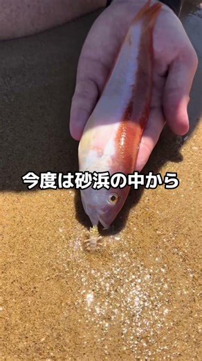 I've never seen "fishing" like this before.