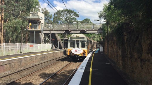 Sydney Trains C1 & C5 Chopper Tour Highlights