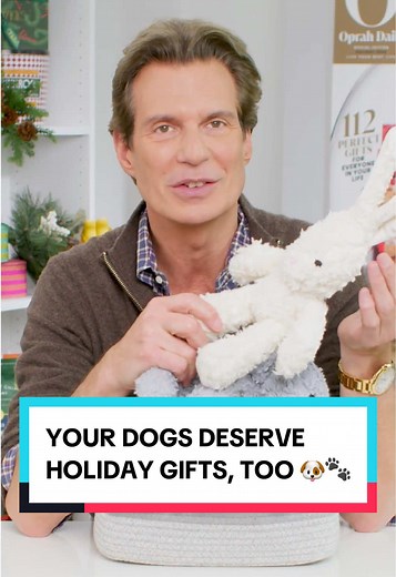Vintage Pet Toys for Your Dog from Oprah's Favorite Things