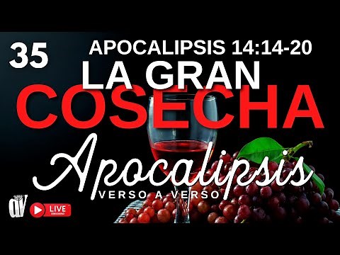 (35) Apocalipsis 14:14-20 🍇 La GRAN COSECHA, el inicio del Segundo GRAN ÉXODO