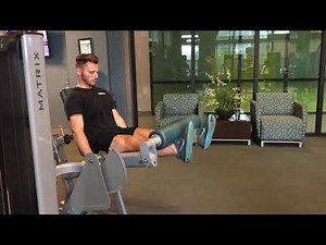 Knee Extension Machine