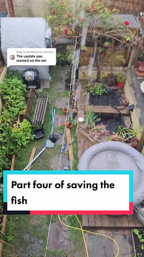 Replying to @diywithemma Happy ending? #garden #watershortage #watershortage2022 #pond #fishkeeper #diysos #diyersoftiktok #diyersofinstagram #mreel