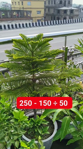 Solve it Math Test Solution | M Mathematics