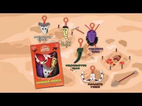 Fuzzy Fossils - Dinosaur Fossils Themed Gift Box