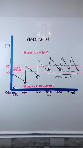 Understanding Vancomycin Pharmacokinetics: Essential Guidelines for Healthcare Professionals
