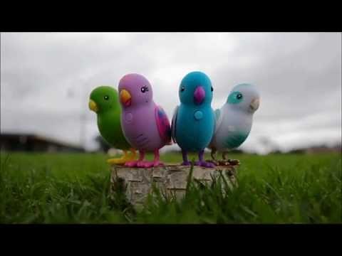 My Little Live Pets Bird Choir