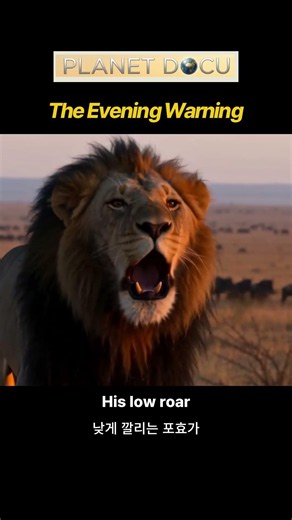 THE SAVANNA'S DEADLY ROAR #lion #wildlife